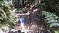Creek Crossing