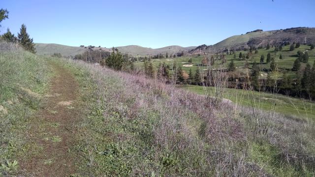 Rougher Trail