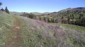 Rougher Trail
