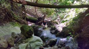 Rugged terrain