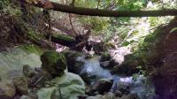 Rugged terrain