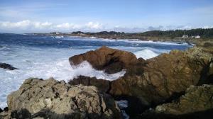 Shoreline