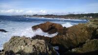 Shoreline