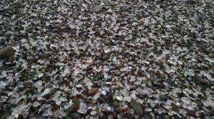 Sea glass