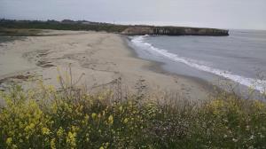 Nature Preserve