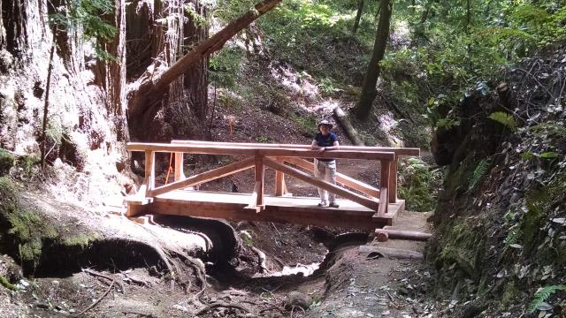 New bridge