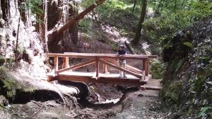 New bridge
