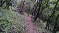 Horse Loop