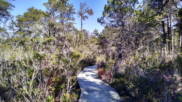 Boardwalk