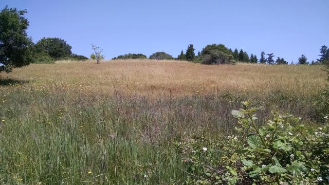 Pocket Prairies