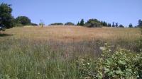 Pocket Prairies