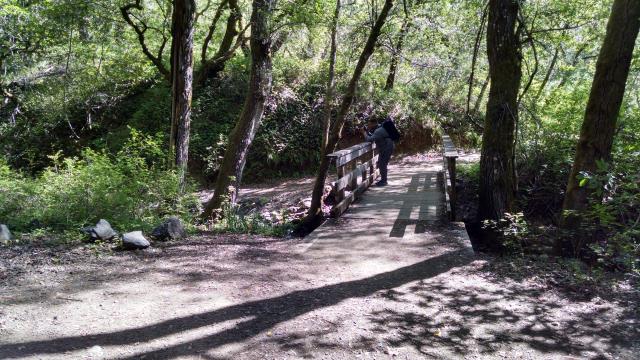 Bridge