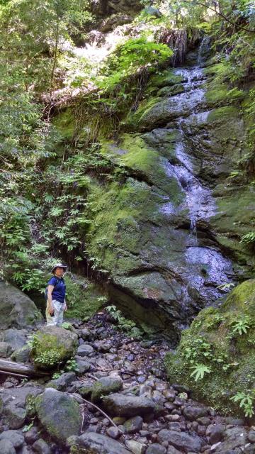 False Falls