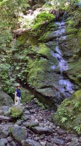 False Falls