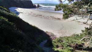 Jug Handle Beach