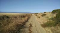Trail View