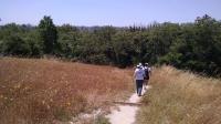 Trail View