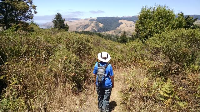 Pomo Canyon