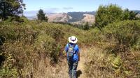 Pomo Canyon