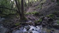 Lower Marie Creek Trail