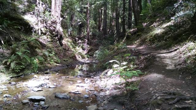 Bridge Creek