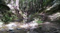 Bridge Creek