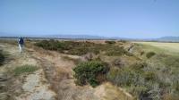 Coppertone on the trail