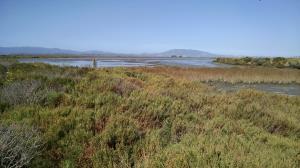 North Tubbs Island