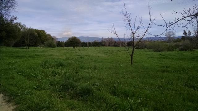 Smoke on the horizon