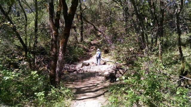 Creek Crossing