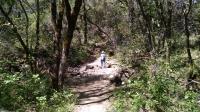 Creek Crossing