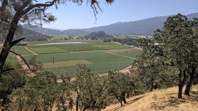 Half Mile View