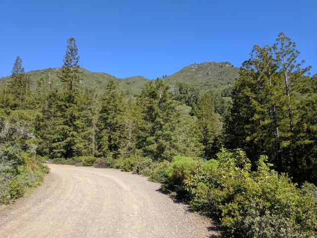 Trail View