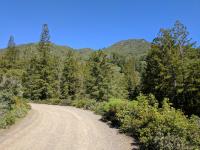 Trail View