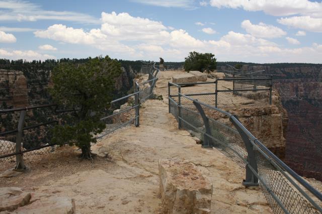 Observation Point