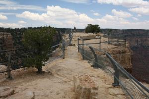 Observation Point