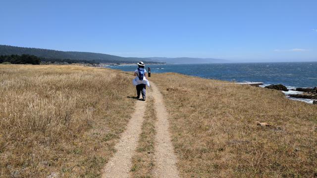 Sun and wind exposure
