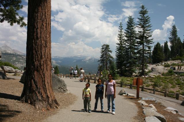 View of the trail