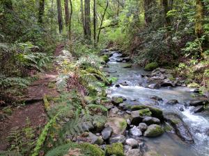 Ritchey Creek