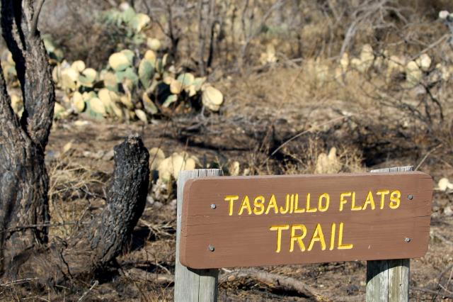Some of the Burned area