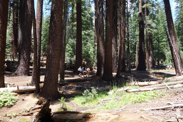 View of the trail