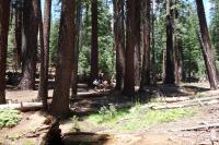 View of the trail