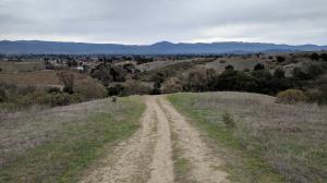 Napa Valley