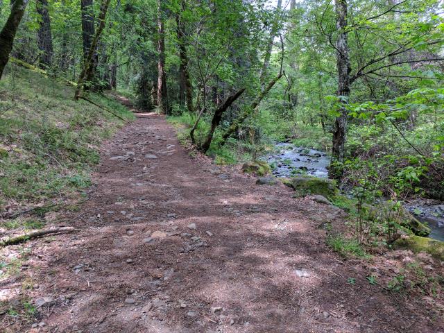 Trail and Creek