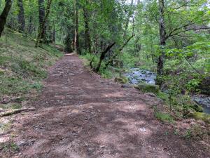 Trail and Creek