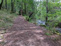 Trail and Creek
