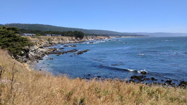 Another Shoreline View