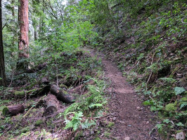 Elevation changes