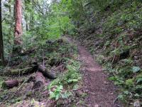 Elevation changes