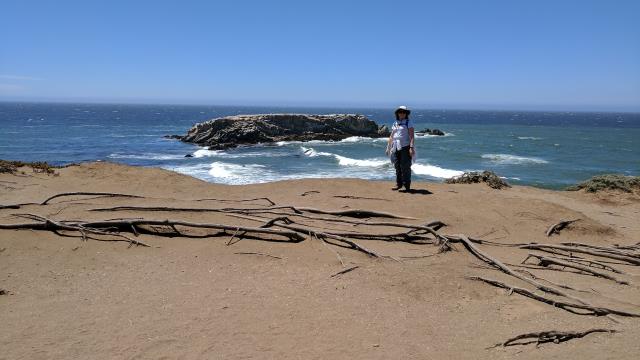 Gualala Point Island